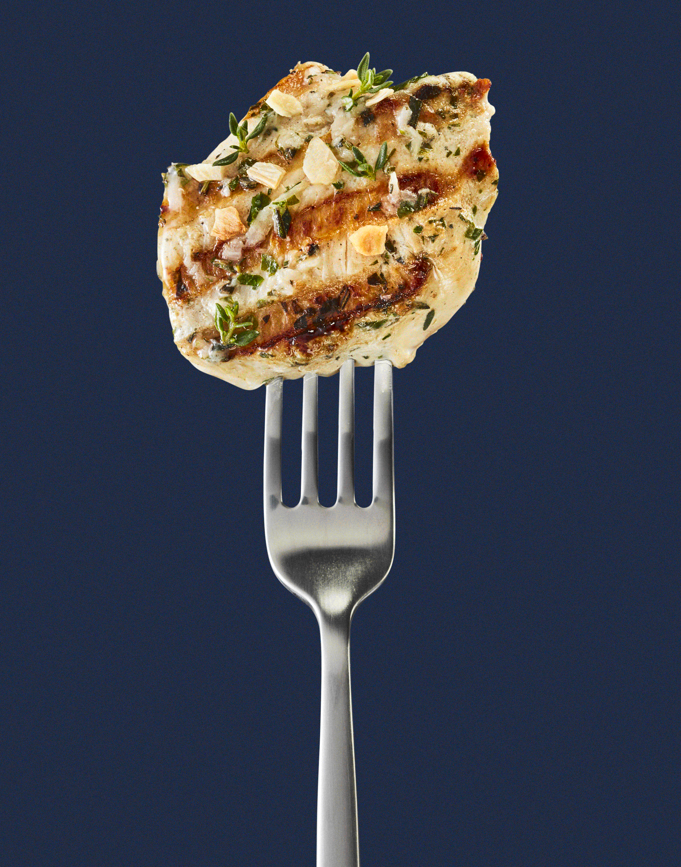 Fork_Breast_Grilled_GIF_1F2A44_Cropped