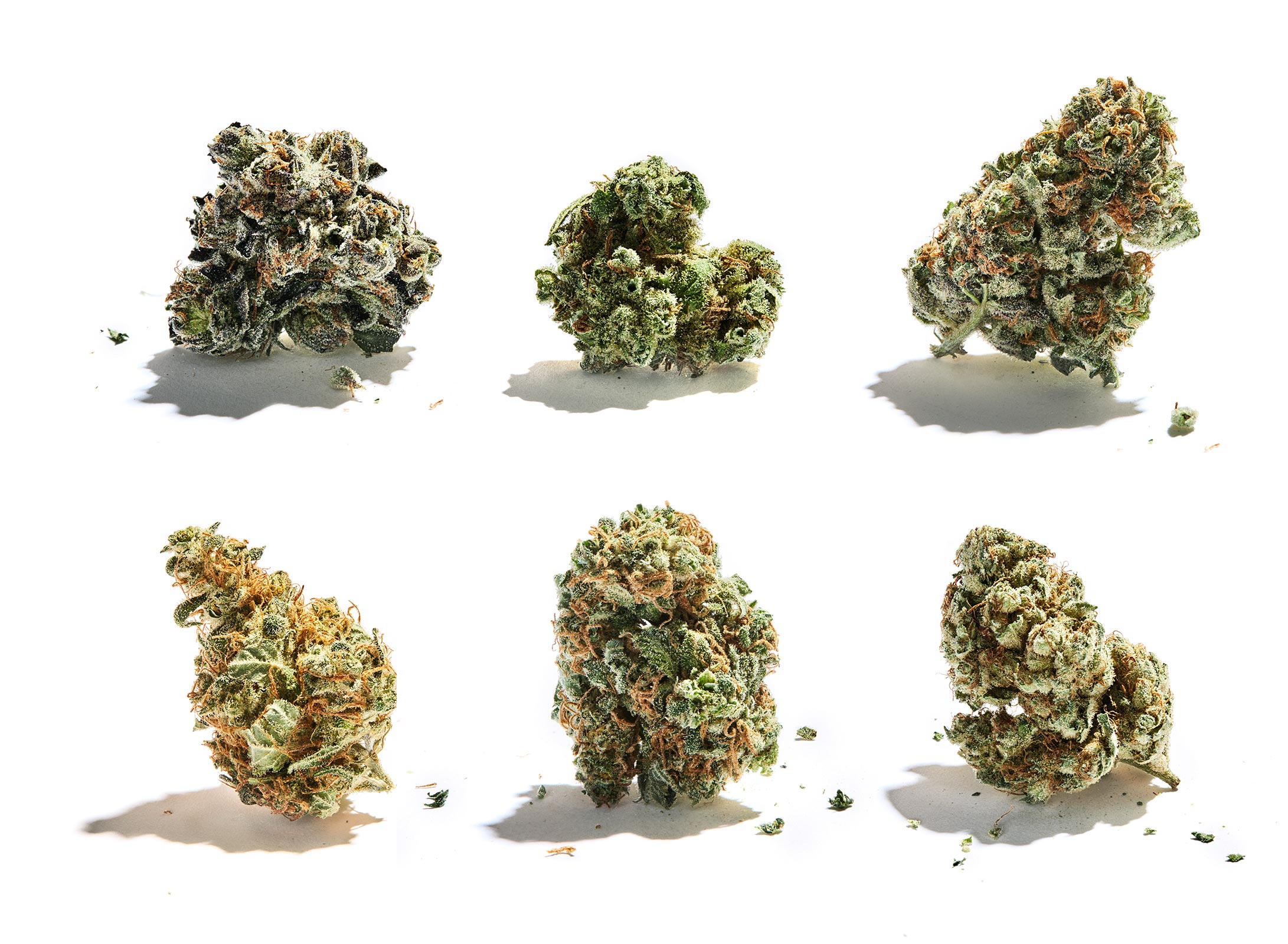 GardenVariety_HerbGrid