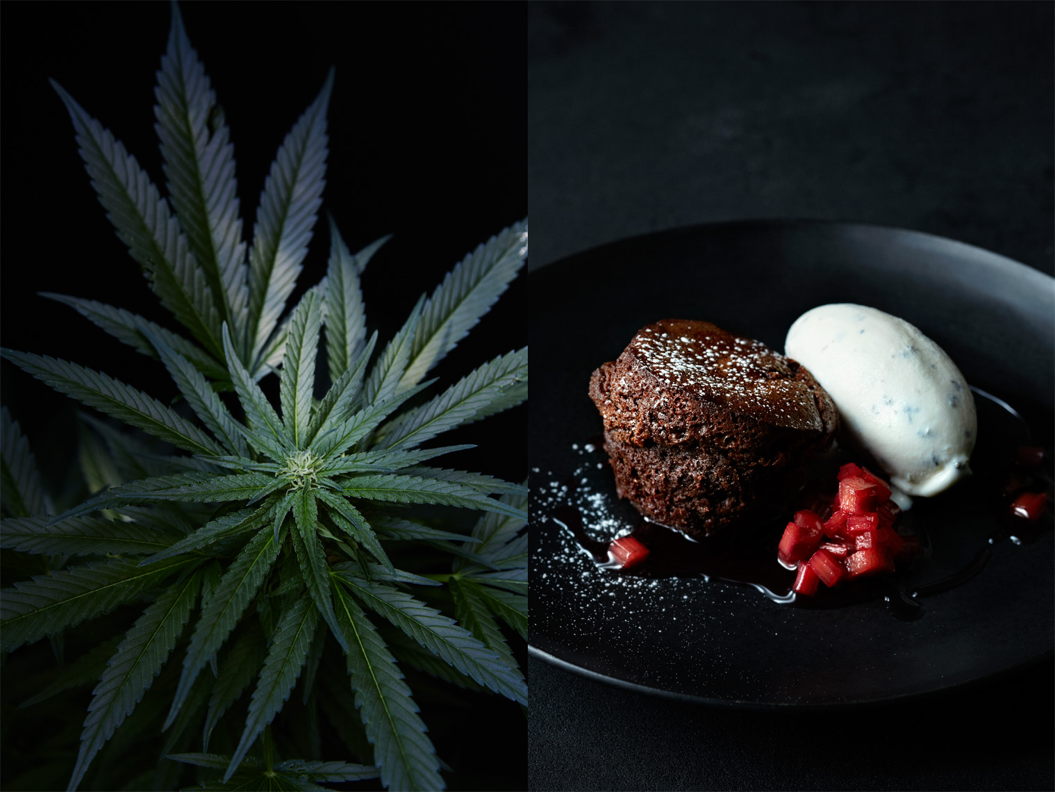 Sinsemilla | Grand Daddy Purple Ice Cream